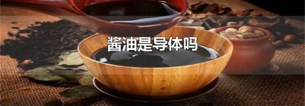 酱油是导体吗