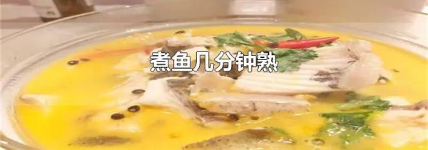 煮鱼几分钟熟