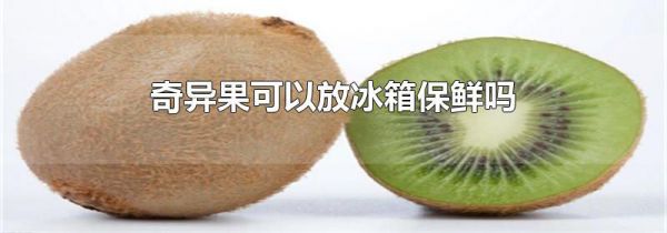 奇异果可以放冰箱保鲜吗