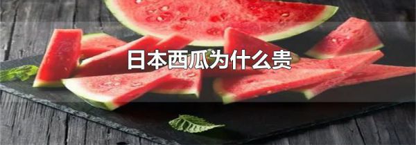 日本西瓜为什么贵