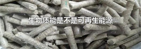 生物质能是不是可再生能源