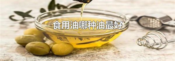食用油哪种油最好