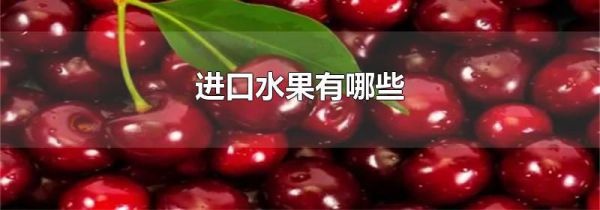 进口水果有哪些