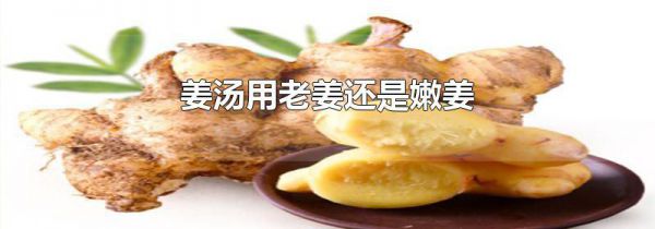 姜汤用老姜还是嫩姜