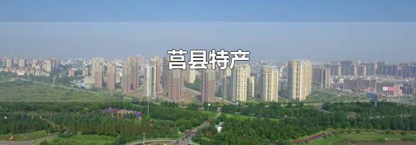 莒县特产