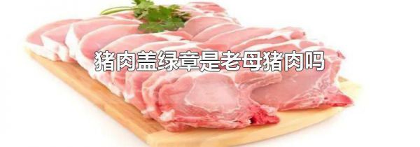 猪肉盖绿章是老母猪肉吗