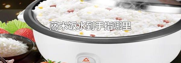 蒸米饭水到手指哪里
