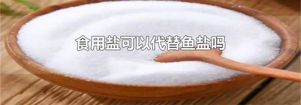食用盐可以代替鱼盐吗