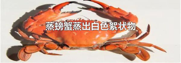 蒸螃蟹蒸出白色絮状物