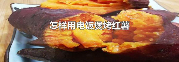 怎样用电饭煲烤红薯