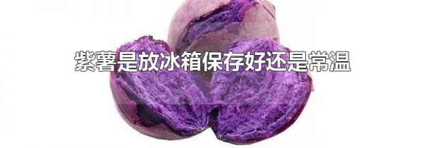 紫薯是放冰箱保存好还是常温