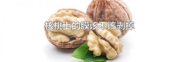 核桃上的膜该不该剥掉