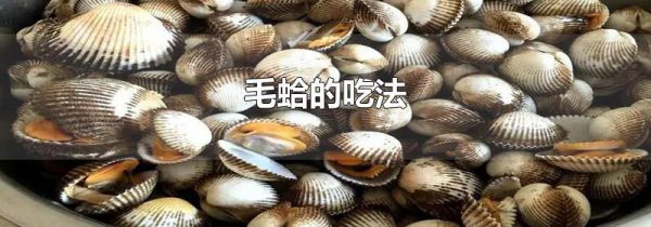 毛蛤的吃法