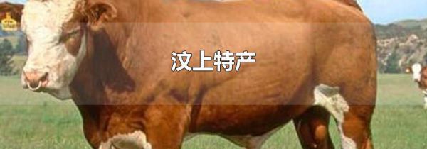 汶上特产