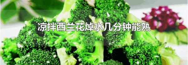 凉拌西兰花焯水几分钟能熟