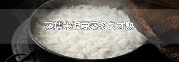 蒸糯米饭要蒸多久才熟