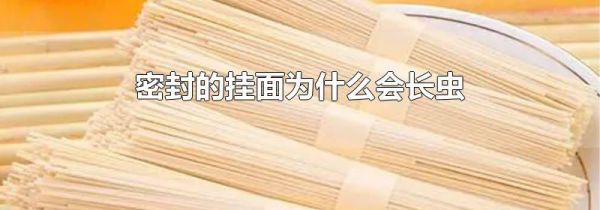 密封的挂面为什么会长虫