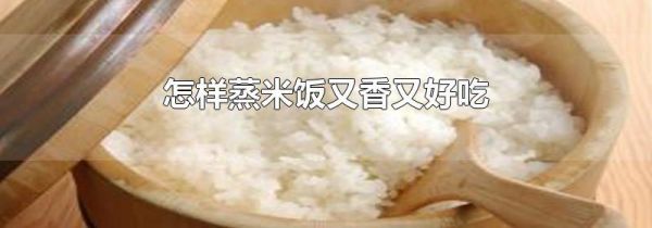 怎样蒸米饭又香又好吃