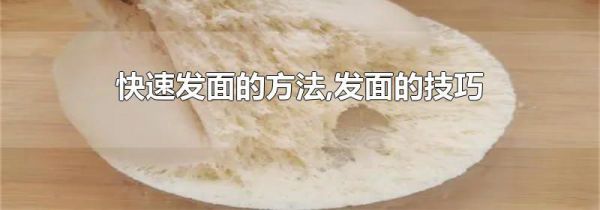 快速发面的方法,发面的技巧