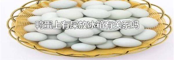 鸭蛋上有屎放冰箱有关系吗