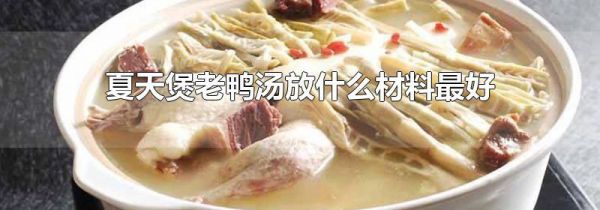 夏天煲老鸭汤放什么材料最好