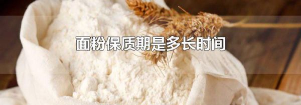面粉保质期是多长时间