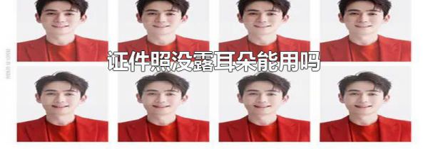 证件照没露耳朵能用吗