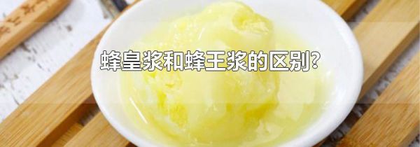 蜂皇浆和蜂王浆的区别?