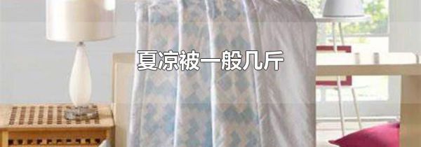 夏凉被一般几斤
