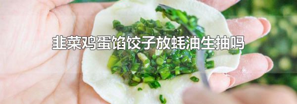 韭菜鸡蛋馅饺子放蚝油生抽吗