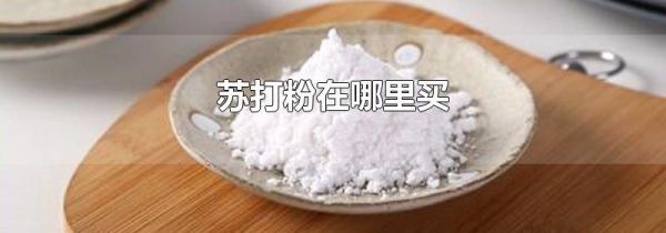 苏打粉在哪里买