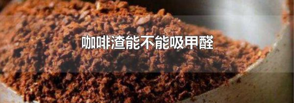 咖啡渣能不能吸甲醛