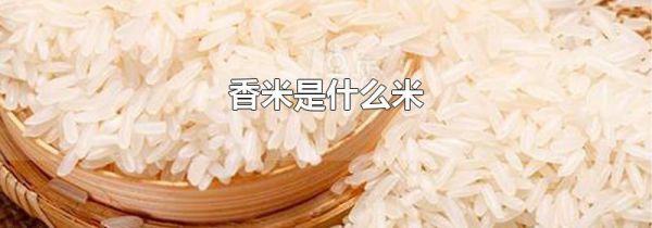 香米是什么米