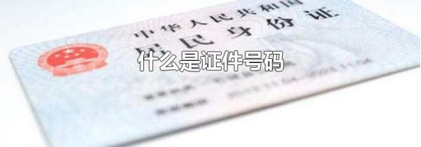 什么是证件号码