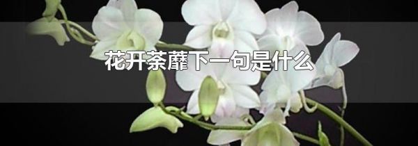 花开荼蘼下一句是什么