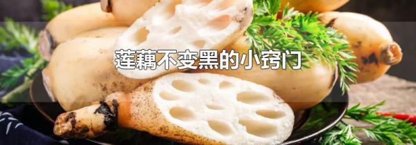 莲藕不变黑的小窍门