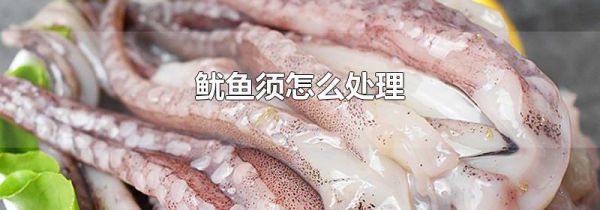 鱿鱼须怎么处理