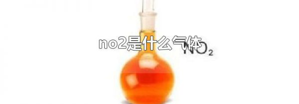 no2是什么气体