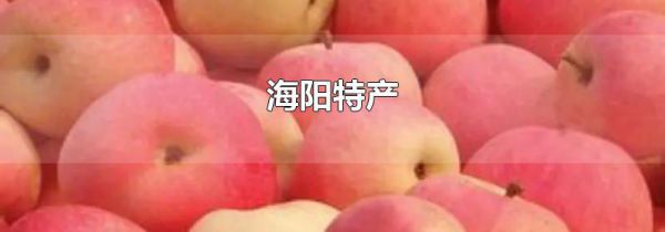 海阳特产