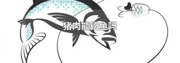 猪肉能钓鱼吗