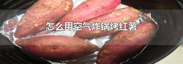 怎么用空气炸锅烤红薯