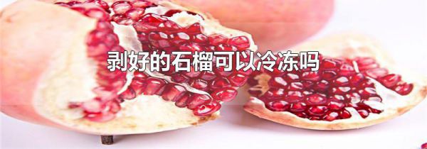 剥好的石榴可以冷冻吗