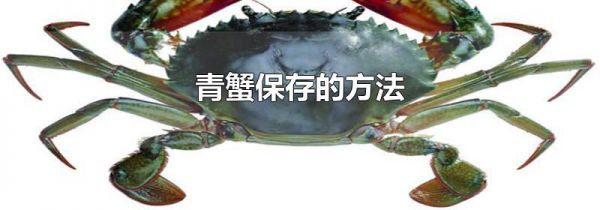 青蟹保存的方法