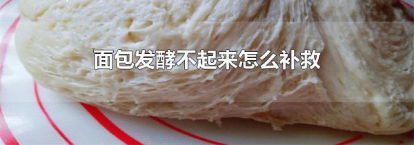 面包发酵不起来怎么补救