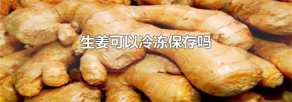 生姜可以冷冻保存吗