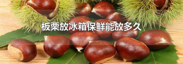 板栗放冰箱保鲜能放多久