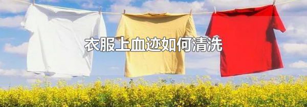 衣服上血迹如何清洗