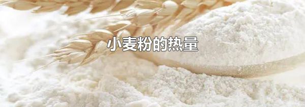 小麦粉的热量