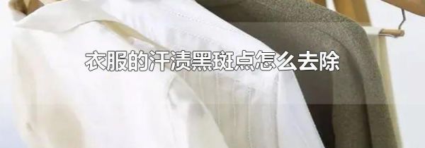 衣服的汗渍黑斑点怎么去除