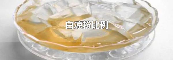 白凉粉比例